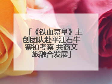 《铁血幕阜》主创团队赴平江石牛寨镇考察 共商文旅融合发展