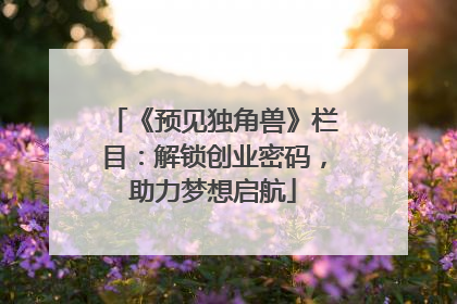 《预见独角兽》栏目：解锁创业密码，助力梦想启航