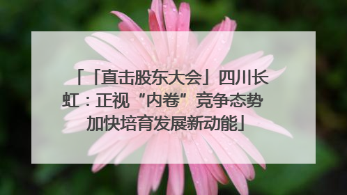 「直击股东大会」四川长虹：正视“内卷”竞争态势 加快培育发展新动能