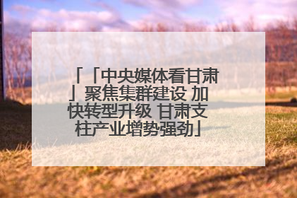 「中央媒体看甘肃」聚焦集群建设 加快转型升级 甘肃支柱产业增势强劲