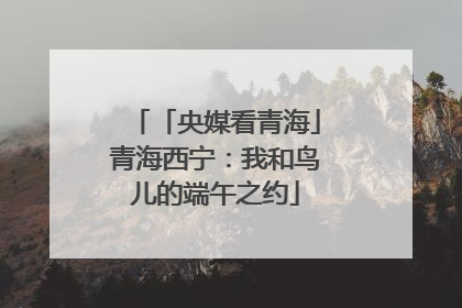 「央媒看青海」青海西宁：我和鸟儿的端午之约