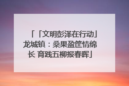 「文明彭泽在行动」龙城镇：桑果盈筐情绵长 育践五柳报春晖