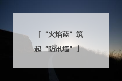 “火焰蓝”筑起“防汛墙”