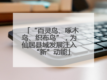 “百灵鸟、啄木鸟、织布鸟”，为仙居县域发展注入“新”动能