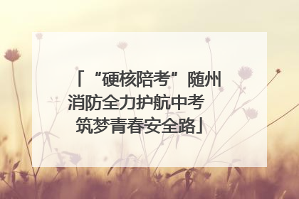 “硬核陪考”随州消防全力护航中考 筑梦青春安全路