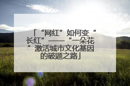 “网红”如何变“长红”——“一朵花”激活城市文化基因的破题之路