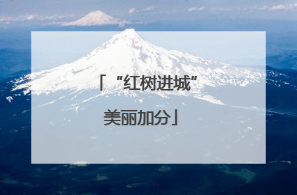 “红树进城” 美丽加分
