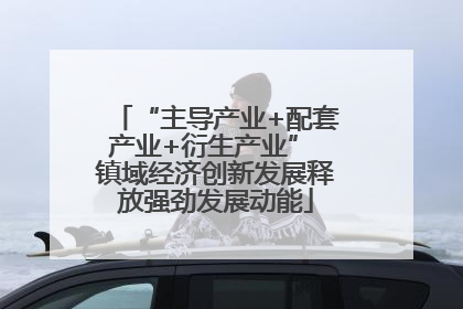 “主导产业+配套产业+衍生产业” 镇域经济创新发展释放强劲发展动能