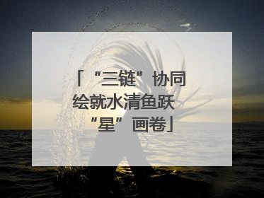 “三链”协同 绘就水清鱼跃“星”画卷