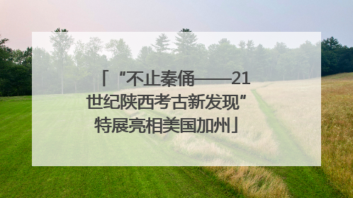 “不止秦俑——21世纪陕西考古新发现”特展亮相美国加州