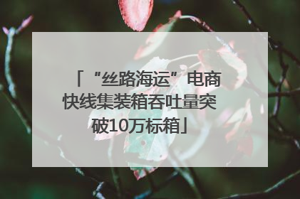 “丝路海运”电商快线集装箱吞吐量突破10万标箱