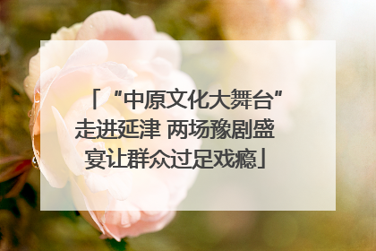 “中原文化大舞台”走进延津 两场豫剧盛宴让群众过足戏瘾