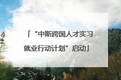 “中斯跨国人才实习就业行动计划”启动