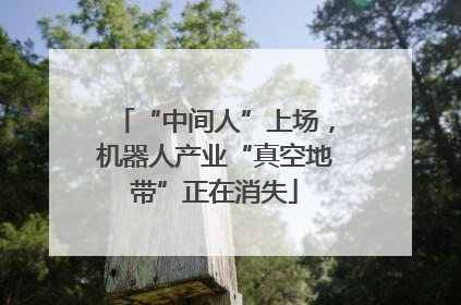 “中间人”上场，机器人产业“真空地带”正在消失