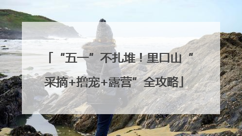 “五一”不扎堆！里口山“采摘+撸宠+露营”全攻略