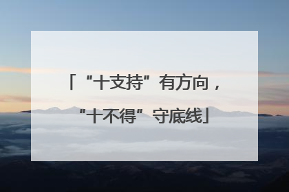 “十支持”有方向，“十不得”守底线