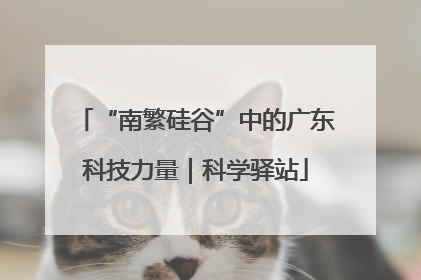 “南繁硅谷”中的广东科技力量｜科学驿站