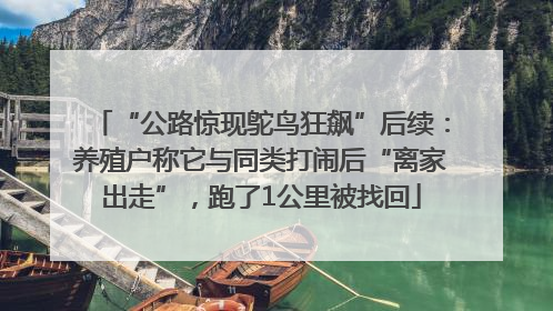 “公路惊现鸵鸟狂飙”后续：养殖户称它与同类打闹后“离家出走”，跑了1公里被找回