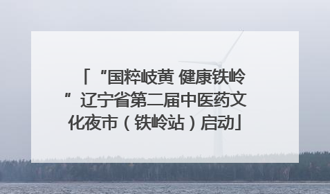 “国粹岐黄 健康铁岭”辽宁省第二届中医药文化夜市（铁岭站）启动