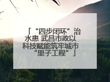 “四步闭环”治水患 武昌市政以科技赋能筑牢城市“里子工程”