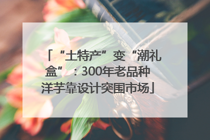 “土特产”变“潮礼盒”：300年老品种洋芋靠设计突围市场