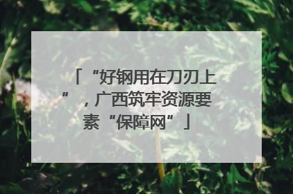 “好钢用在刀刃上”，广西筑牢资源要素“保障网”