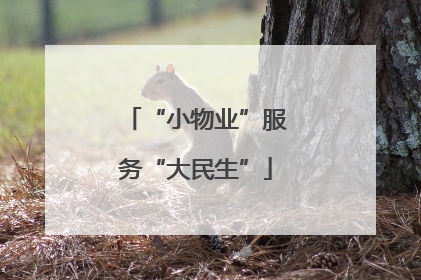 “小物业”服务“大民生”