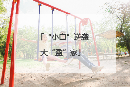 “小白”逆袭大“盈”家