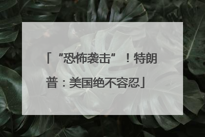 “恐怖袭击”！特朗普：美国绝不容忍