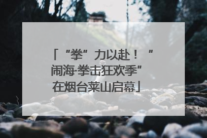 “拳”力以赴！“闹海·拳击狂欢季”在烟台莱山启幕