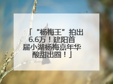 “杨梅王”拍出6.6万！建阳首届小湖杨梅嘉年华酸甜出圈！