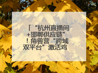 “杭州直播间+邯郸供应链”！角兽营“跨域双平台”激活鸡泽产业新动能