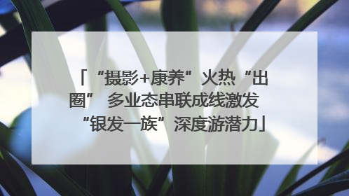 “摄影+康养”火热“出圈” 多业态串联成线激发“银发一族”深度游潜力