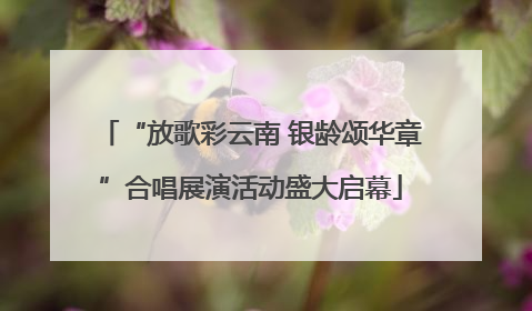 “放歌彩云南 银龄颂华章”合唱展演活动盛大启幕
