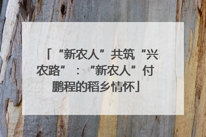 “新农人”共筑“兴农路”：“新农人”付鹏程的稻乡情怀