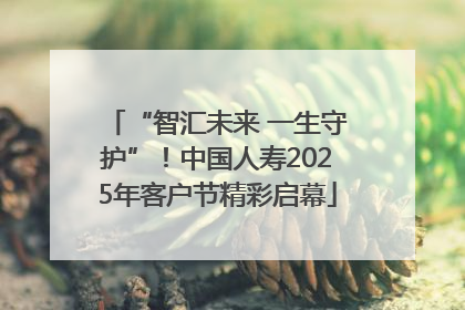 “智汇未来 一生守护”！中国人寿2025年客户节精彩启幕