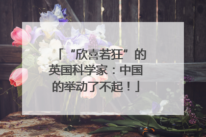“欣喜若狂”的英国科学家：中国的举动了不起！