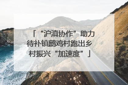 “沪滇协作”助力待补镇鹧鸡村跑出乡村振兴“加速度”