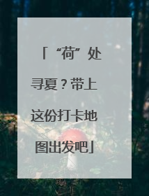 “荷”处寻夏？带上这份打卡地图出发吧