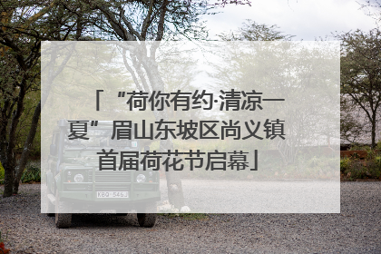 “荷你有约·清凉一夏”眉山东坡区尚义镇首届荷花节启幕