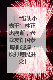 “街头小霸王”林正杰癌逝，老战友许国泰曝他遗愿：没打垮民进党