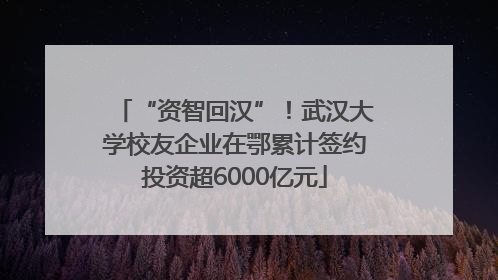 “资智回汉”！武汉大学校友企业在鄂累计签约投资超6000亿元