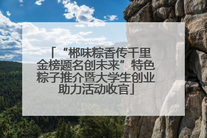 “郴味粽香传千里 金榜题名创未来”特色粽子推介暨大学生创业助力活动收官
