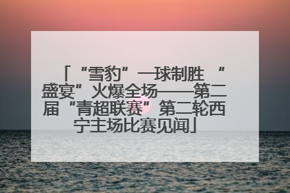“雪豹”一球制胜 “盛宴”火爆全场——第二届“青超联赛”第二轮西宁主场比赛见闻