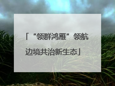 “领群鸿雁”领航边境共治新生态