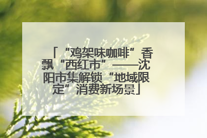 “鸡架味咖啡”香飘“西红市”——沈阳市集解锁“地域限定”消费新场景
