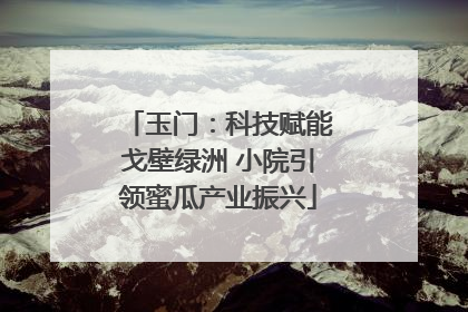 玉门：科技赋能戈壁绿洲 小院引领蜜瓜产业振兴