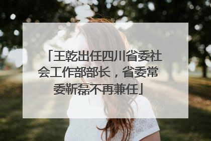 王乾出任四川省委社会工作部部长，省委常委靳磊不再兼任