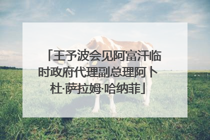 王予波会见阿富汗临时政府代理副总理阿卜杜·萨拉姆·哈纳菲