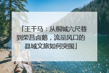 王千马：从桐城六尺巷到荣昌卤鹅，流量风口的县域文旅如何突围